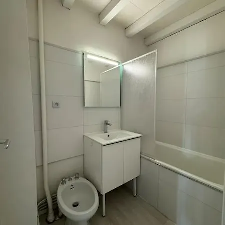 Joli T3 Duplex Compans Cafarelli Toulouse