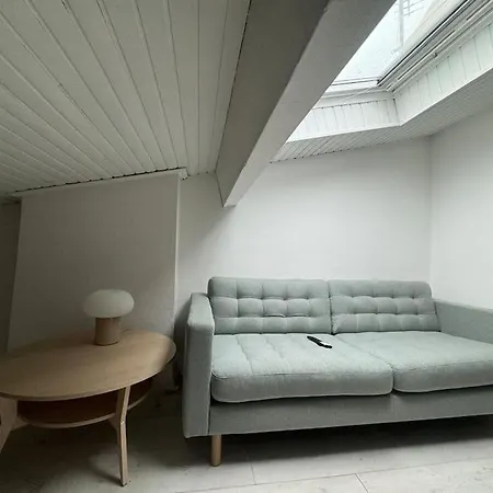 Daire Joli T3 Duplex Compans Cafarelli Toulouse