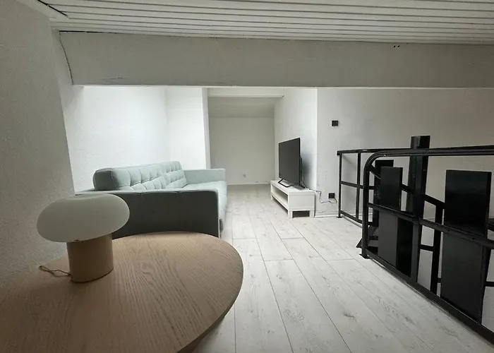 Joli T3 Duplex Compans Cafarelli Lejlighed Toulouse