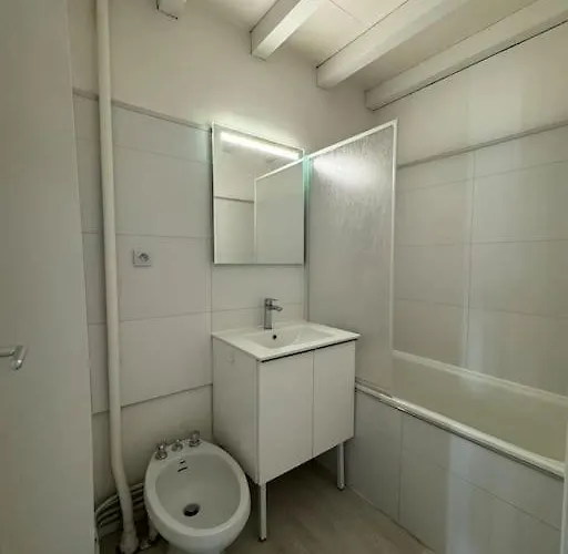 Joli T3 Duplex Compans Cafarelli Toulouse