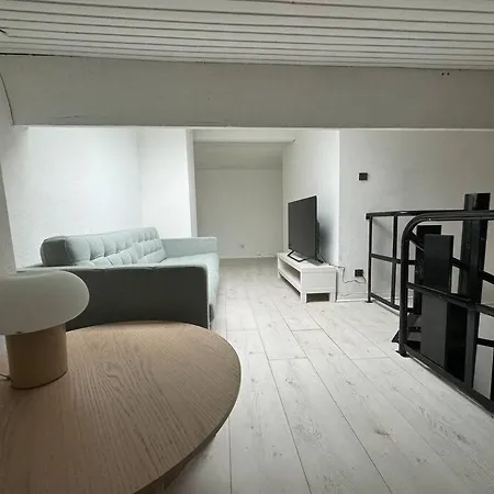 Joli T3 Duplex Compans Cafarelli Lägenhet Toulouse